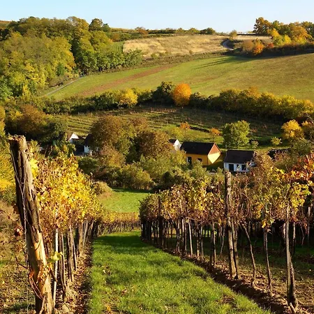 Country house Winzerhof & Gastehaus Greil Frauendorf an der Schmida